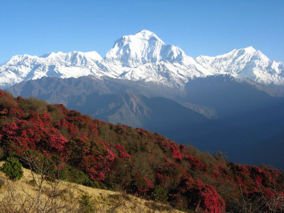 4 Days Ghorepani Poon Hill Trek with  local Guide from Pokhara