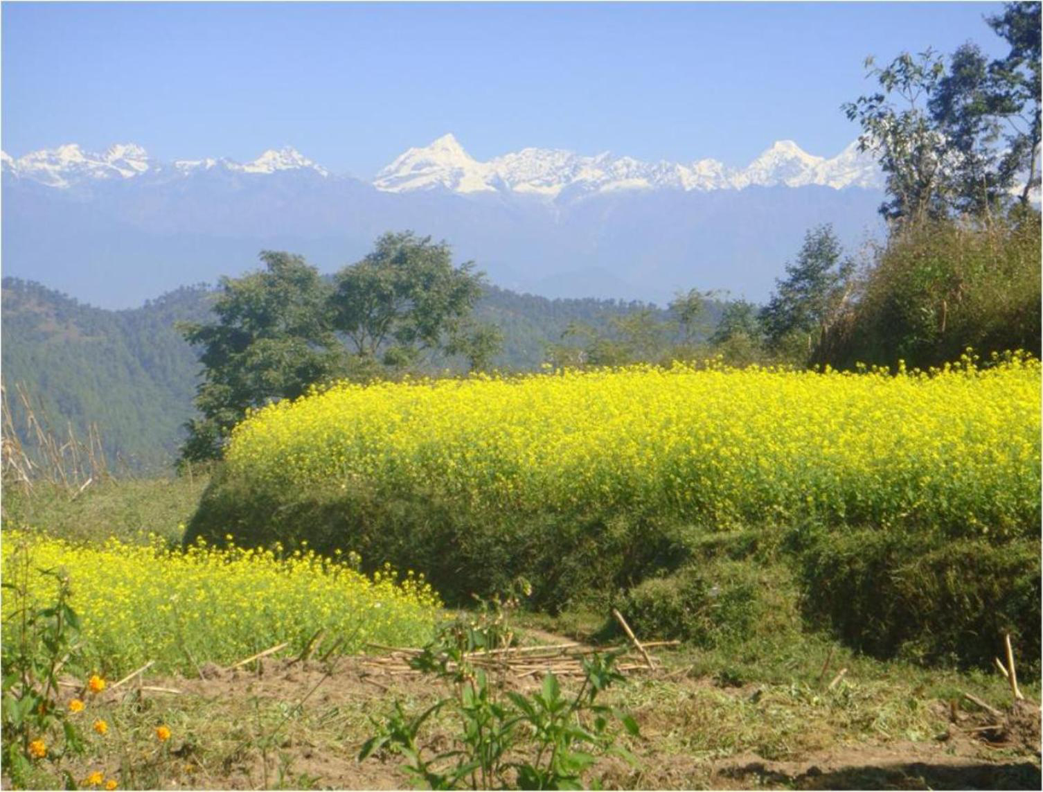 Kathmandu Valley 3-Days Trek and Hike